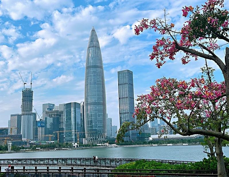 习近平宣布：明年11月在深圳办APEC峰会（图） - 1