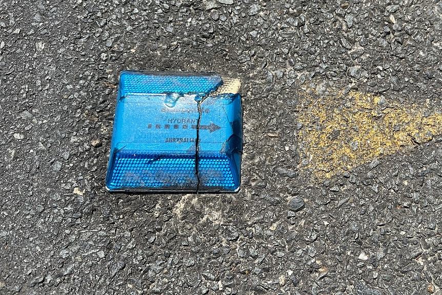 澳洲马路上这种蓝色反光片到底是什么?原来它是救命的(组图) - 4