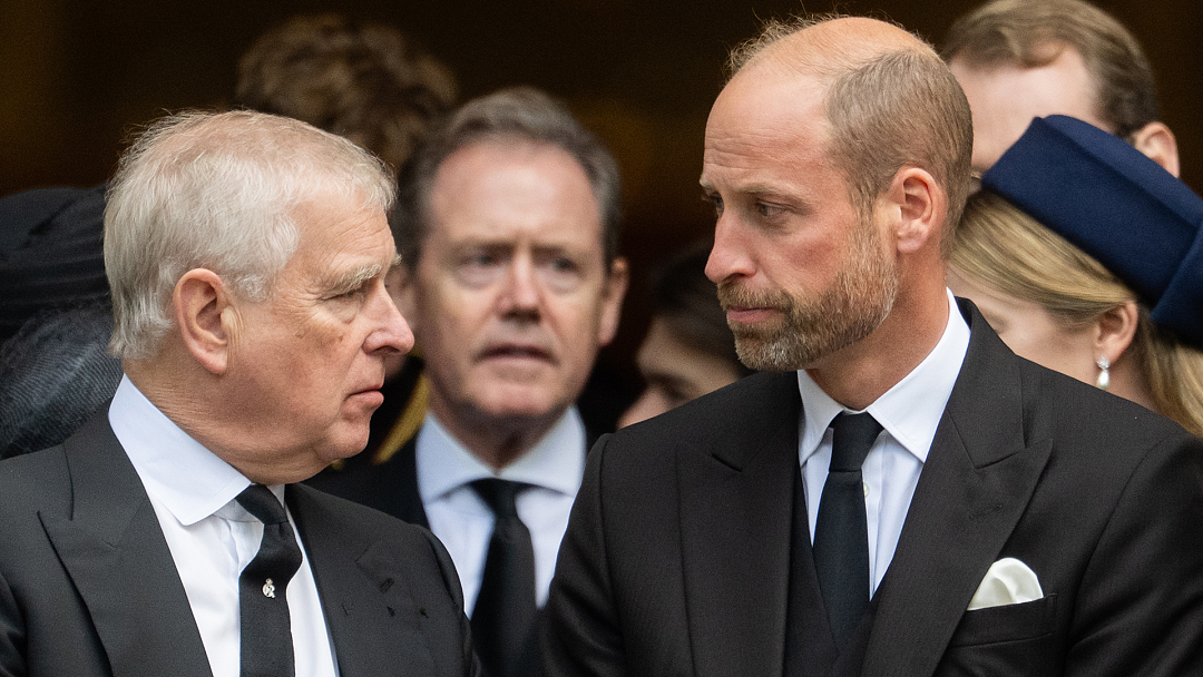 见证历史!英国王子被贬为庶民,剥夺头衔、踢出官邸,威廉对亲叔叔下手?(组图) - 6