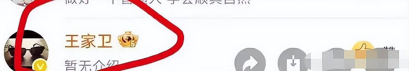 聊天录音曝光！王家卫称“唐嫣很装”引热议，微博评论区沦陷（视频/组图） - 15