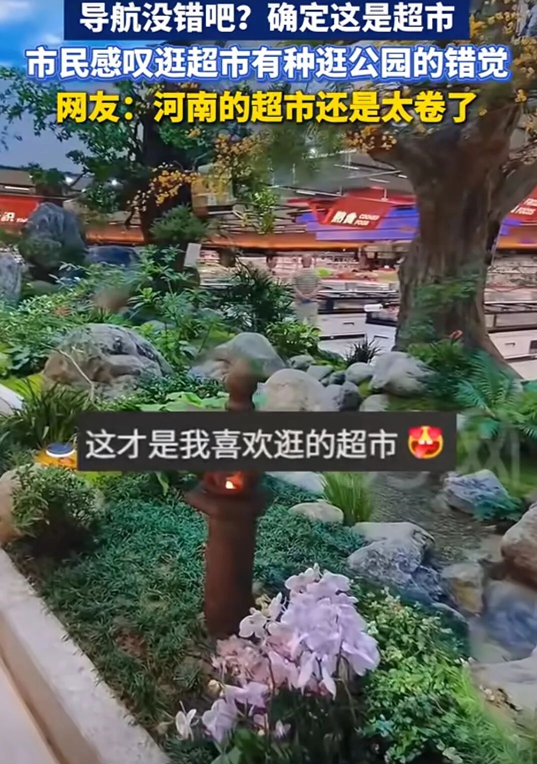 内地“穷鬼”超市,快被香港人搬空了(组图) - 26