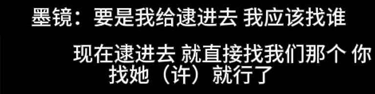 秦雯袭警冲上热搜!向王家卫炫耀后台硬能捞人(组图) - 19