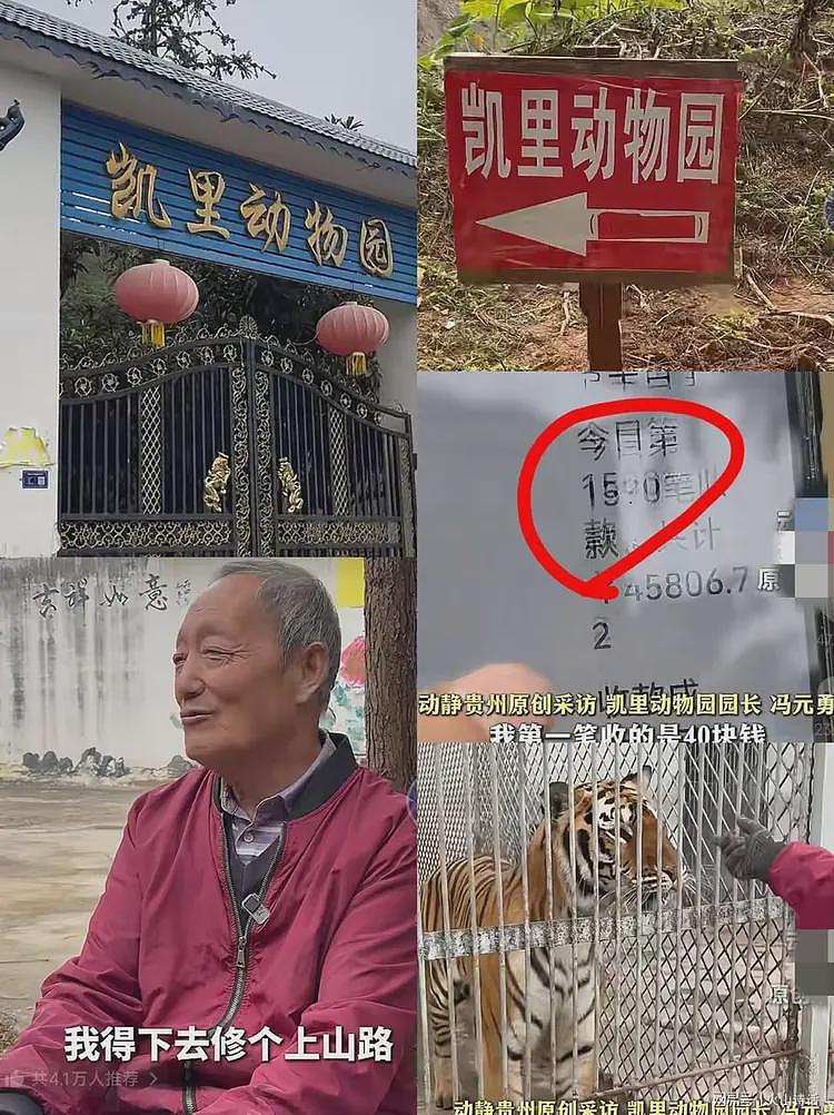彻底解释不清了!贵州一动物园长爆火,网友纷纷往他账户转20元…(视频/组图) - 3