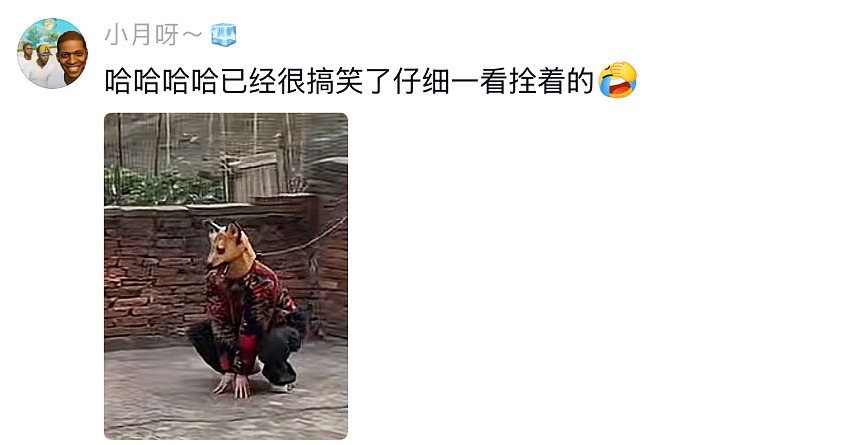 【爆笑】男朋友失联5天后突然被告知是去世了?一开始:心疼!看到最后:他应该是有老婆了...(组图) - 22