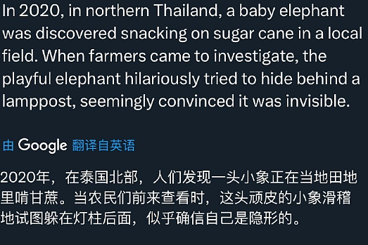 【爆笑】网恋三个月,我总感觉她是个男的?网友夺笋:只有男人才懂男人?(组图) - 51