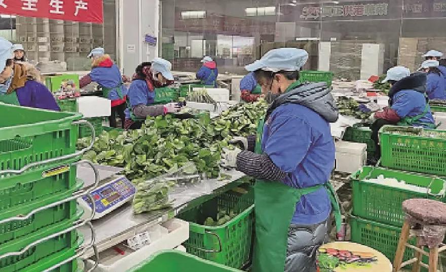内地“穷鬼”超市,快被香港人搬空了(组图) - 17
