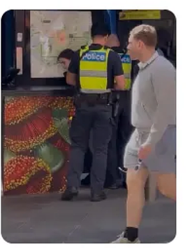 看不说英文的人不爽？黑衣女子在墨尔本CBD泡泡玛特店疯狂打砸抢；9cm大的冰雹砸下，澳洲多人受伤（组图） - 8