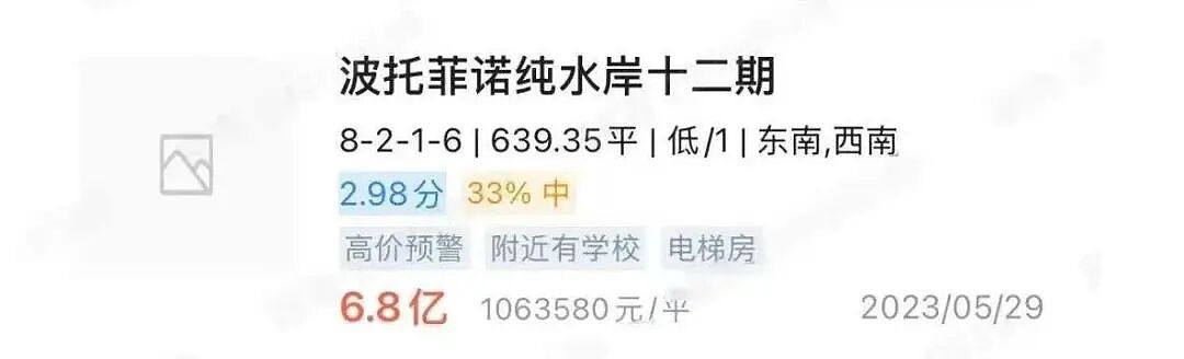 57万元/平方米！深圳一别墅被神秘富豪3.65亿元“捡漏”拍下，刷新全国纪录（组图） - 5