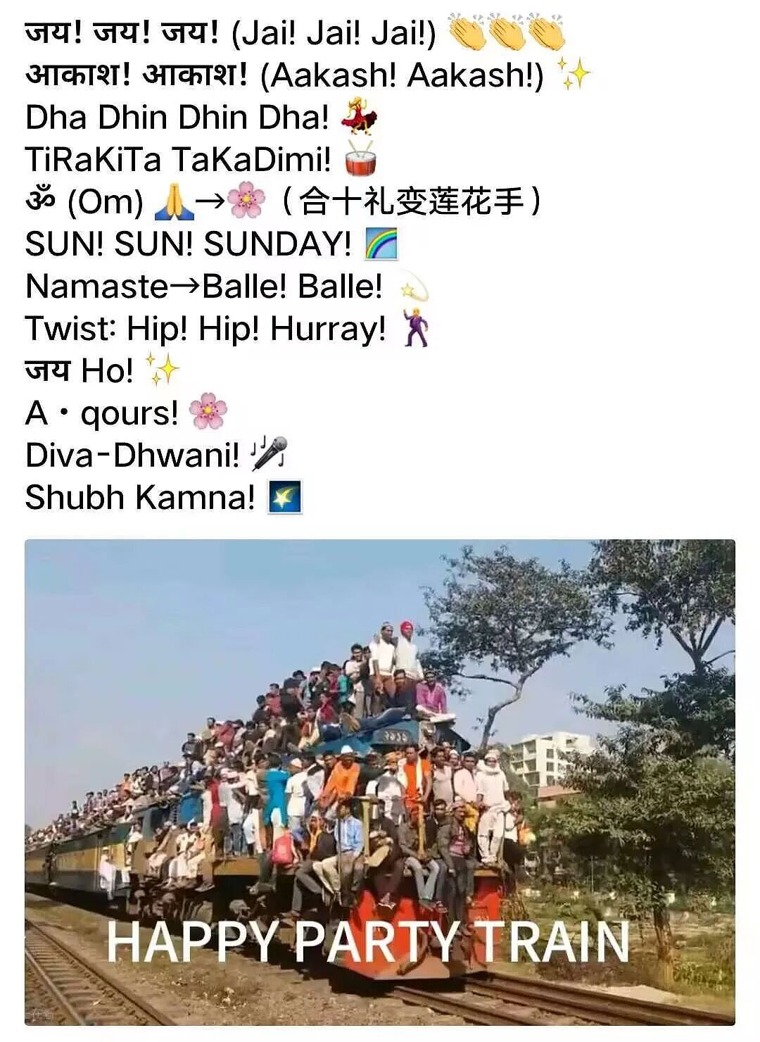 日本知名声优因嫁给印度男子遭疯狂网暴！首次公开丈夫身份，直言在婆家每天吃咖喱…（组图） - 13