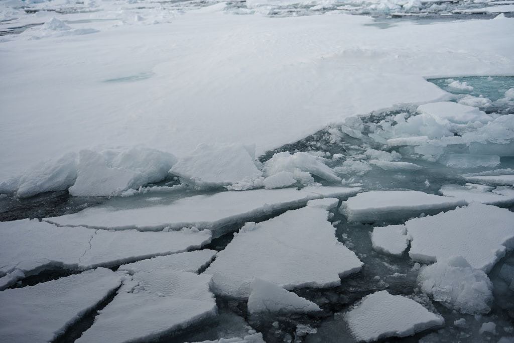 COP31主办权陷僵局，澳总理致函土耳其协商（组图） - 2