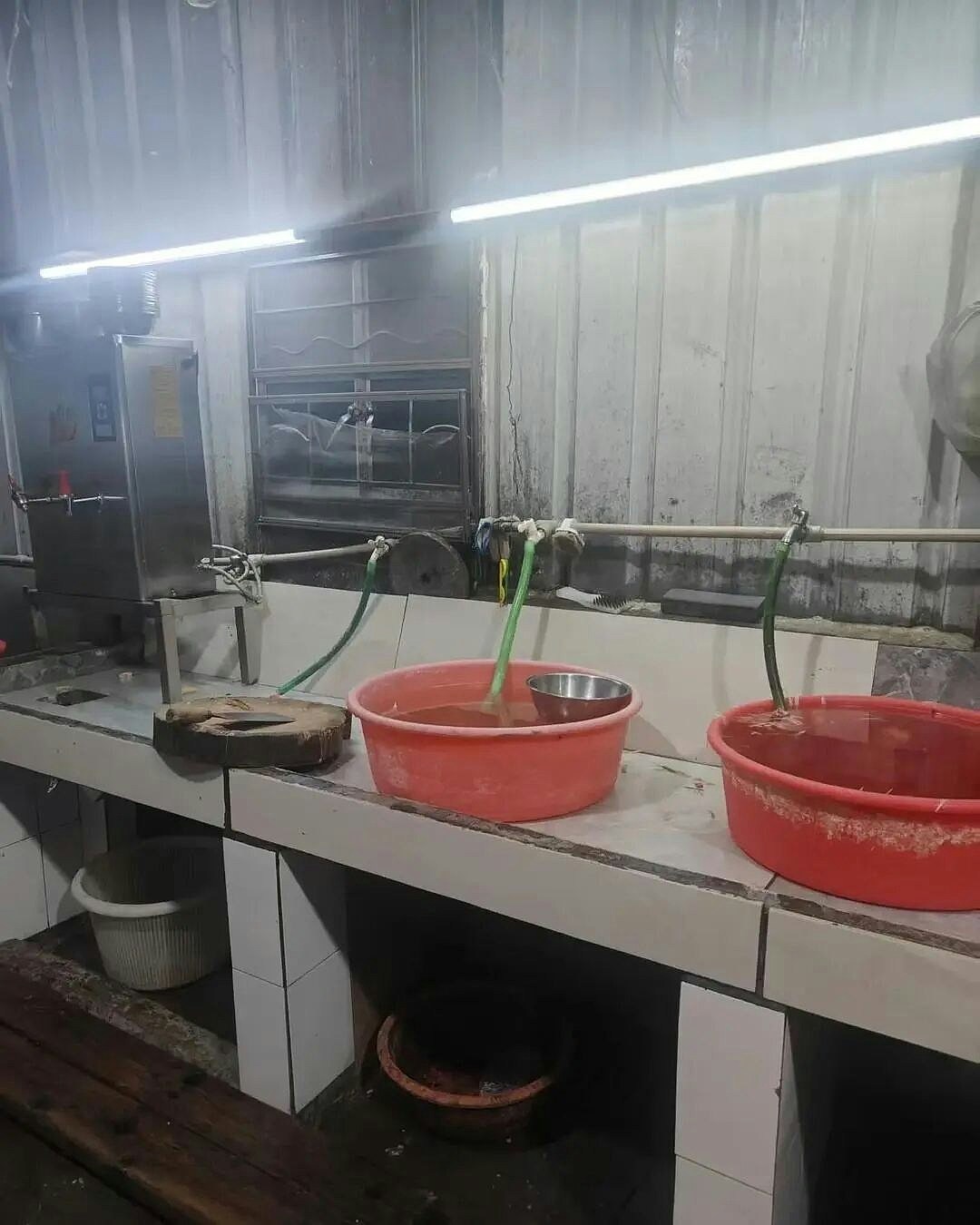 佛山私房菜馆疑宰杀活猫烹“龙虎凤”,多部门介入调查(组图) - 3