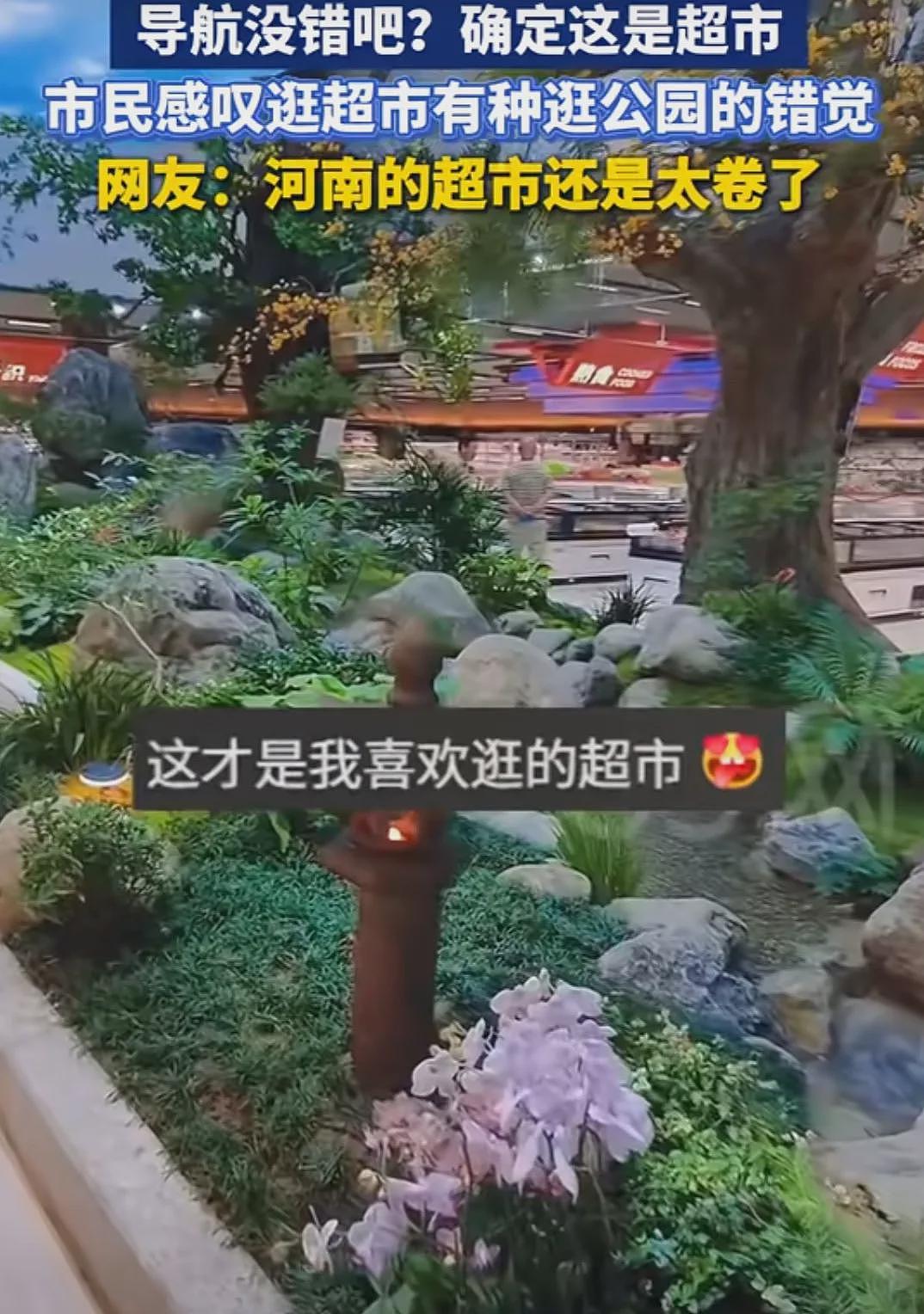 内地“穷鬼”超市,快被香港人搬空了(组图) - 19