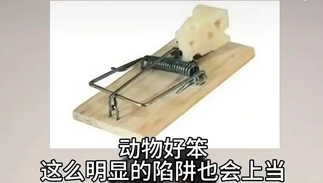 【爆笑】“学生家长的职业可以有多高大上？”哈哈哈哈哈哈哈我大为震惊（组图） - 11