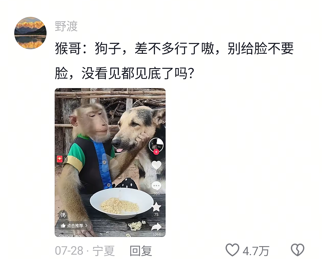 【宠物】网友头被路障卡住了拿不下来,狗子以为她和自己玩游戏…狗子开心到跳脚:到我了(组图) - 19