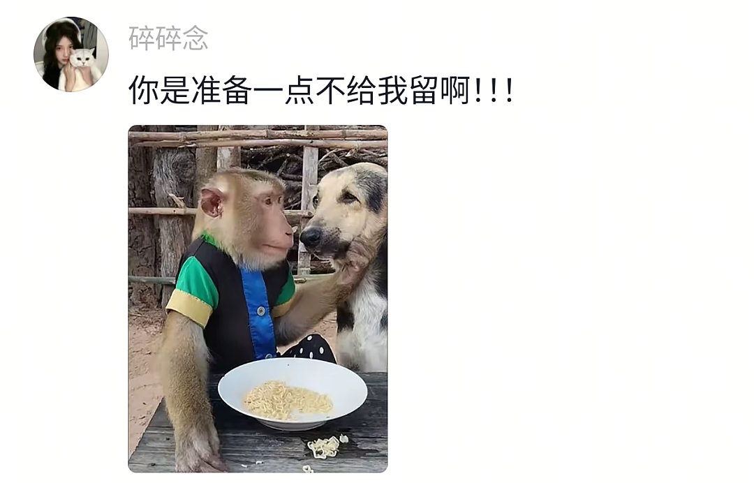 【宠物】网友头被路障卡住了拿不下来,狗子以为她和自己玩游戏…狗子开心到跳脚:到我了(组图) - 21