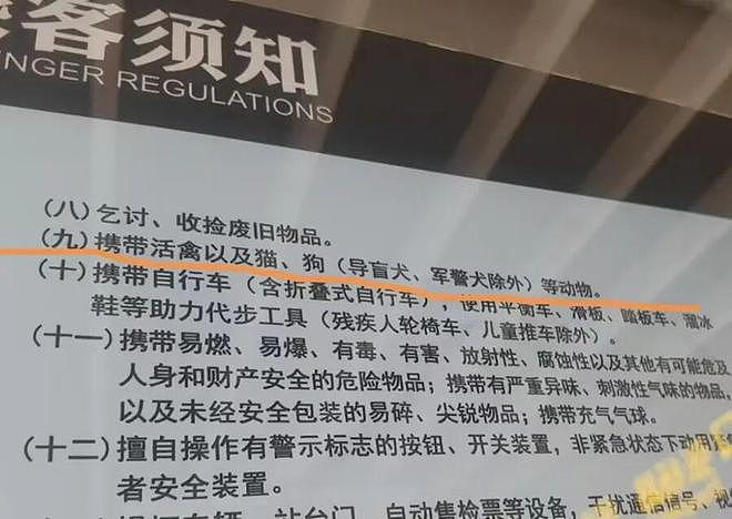 活的大闸蟹不能“坐”上海地铁?一天十几人被拦下,“建议另寻出行方式”(组图) - 4
