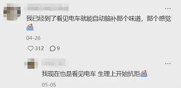 有多少打工人,被新能源甩晕在通勤路上?(组图) - 6