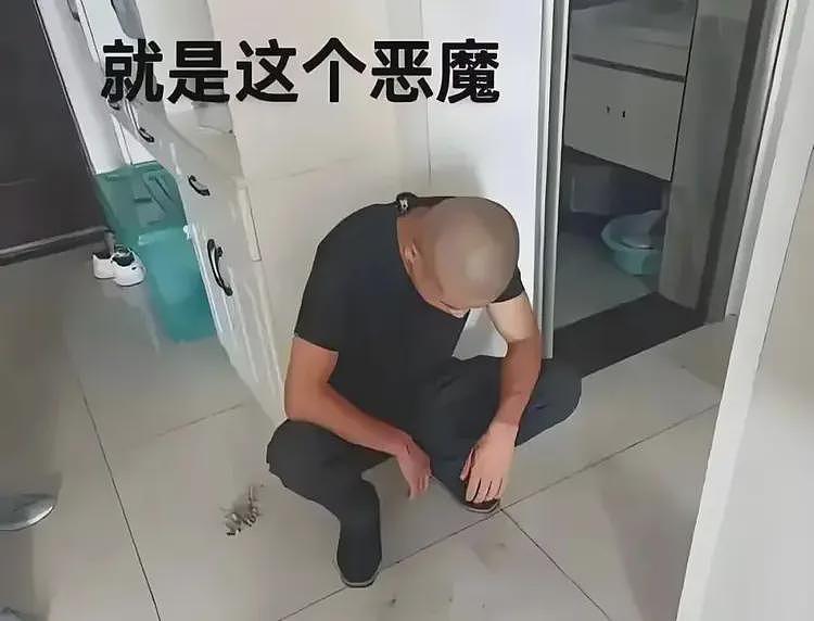 女护士董文卉日记曝光:如果我报警,就杀了我全家,更多内容流出(组图) - 1