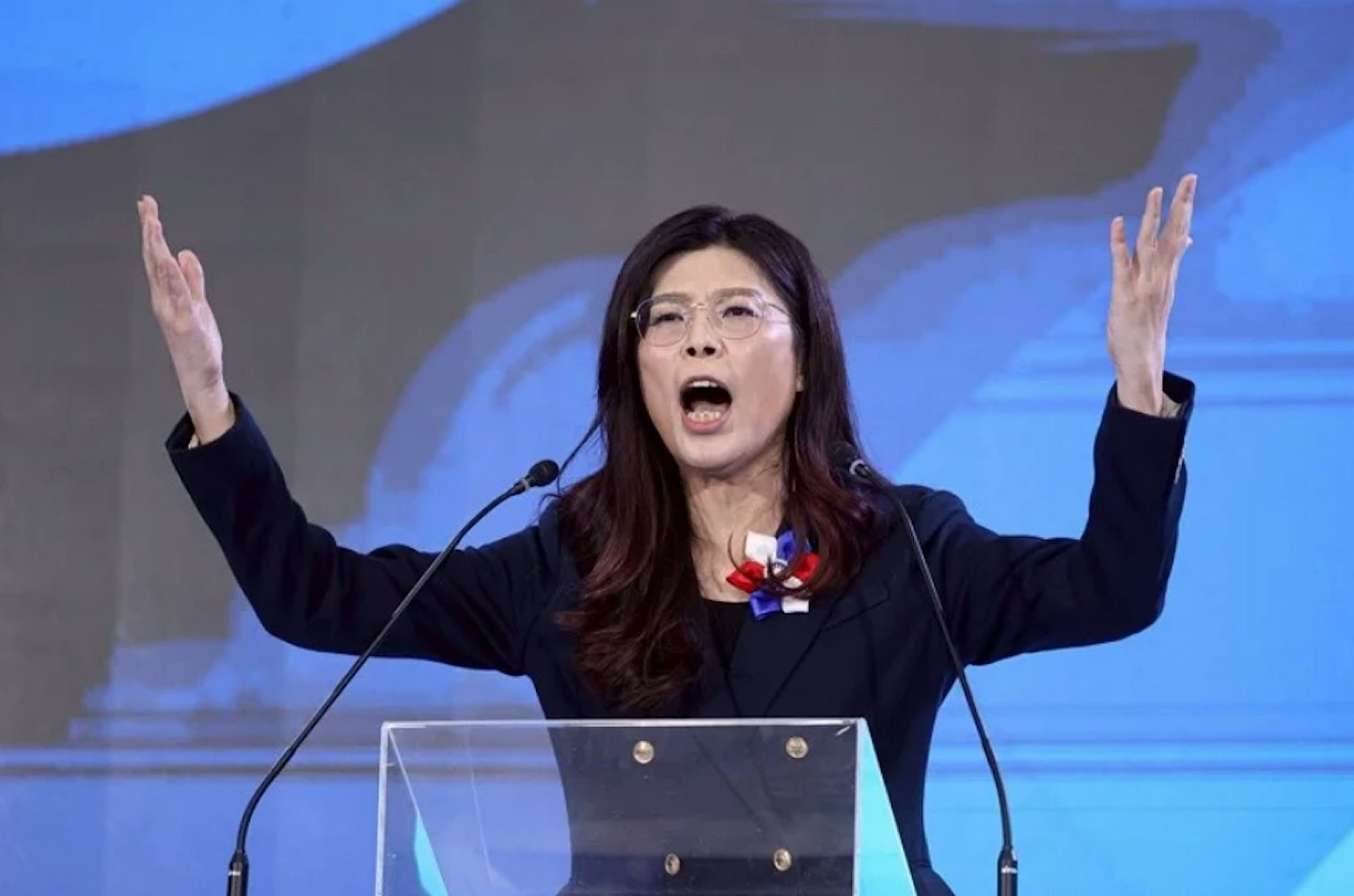 胡锡进:反台独仇陆,郑丽文当选国民党主席成台湾政治新风向标(图) - 2
