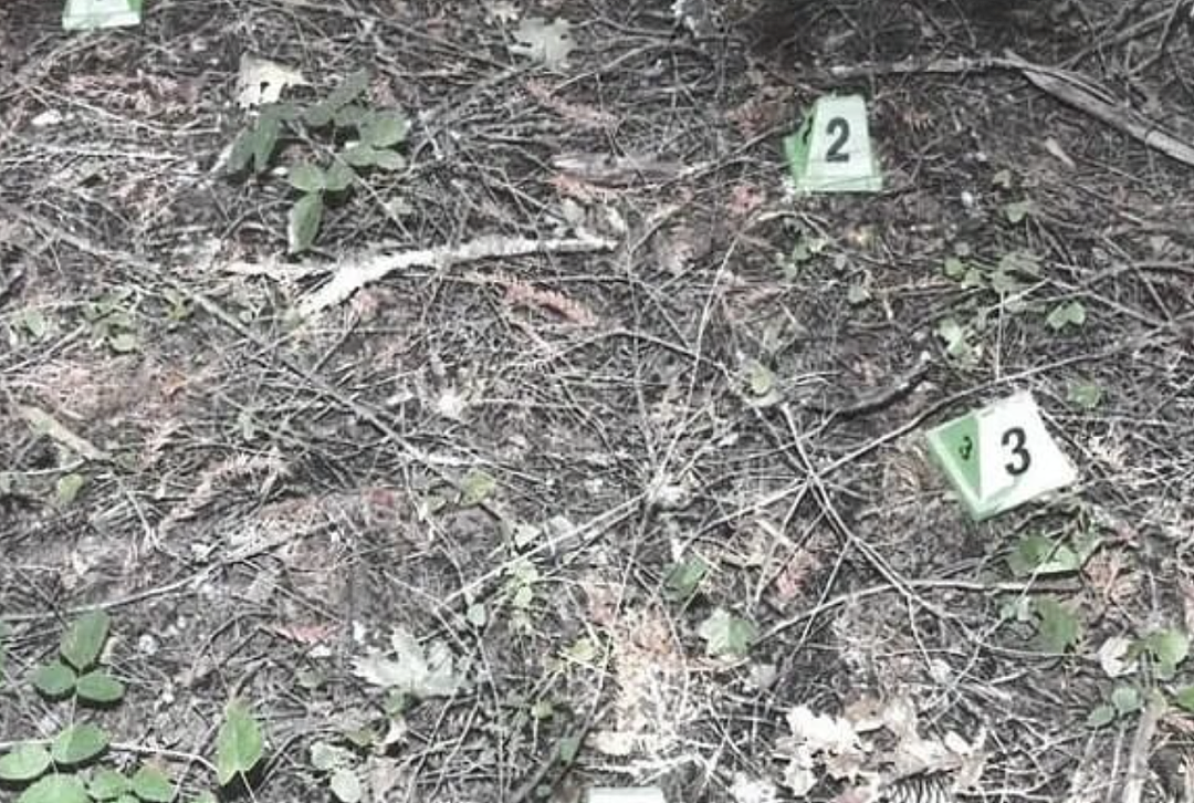 现世报！ 硅谷富豪虐待羞辱员工惨遭反杀，爆头枪决，抛尸荒郊（组图） - 10