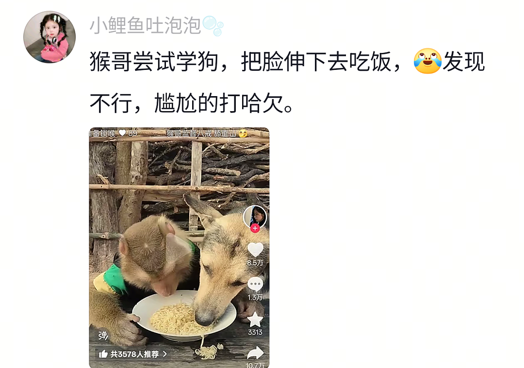 【宠物】网友头被路障卡住了拿不下来,狗子以为她和自己玩游戏…狗子开心到跳脚:到我了(组图) - 22