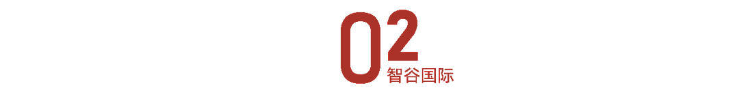 新西兰对中国人免签了？已有人成功入境（组图） - 6