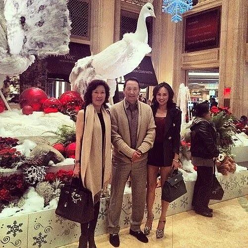 顶流华裔名媛下嫁捞男？她打入美国上层社交圈，表面浮夸其实很精……（组图） - 39