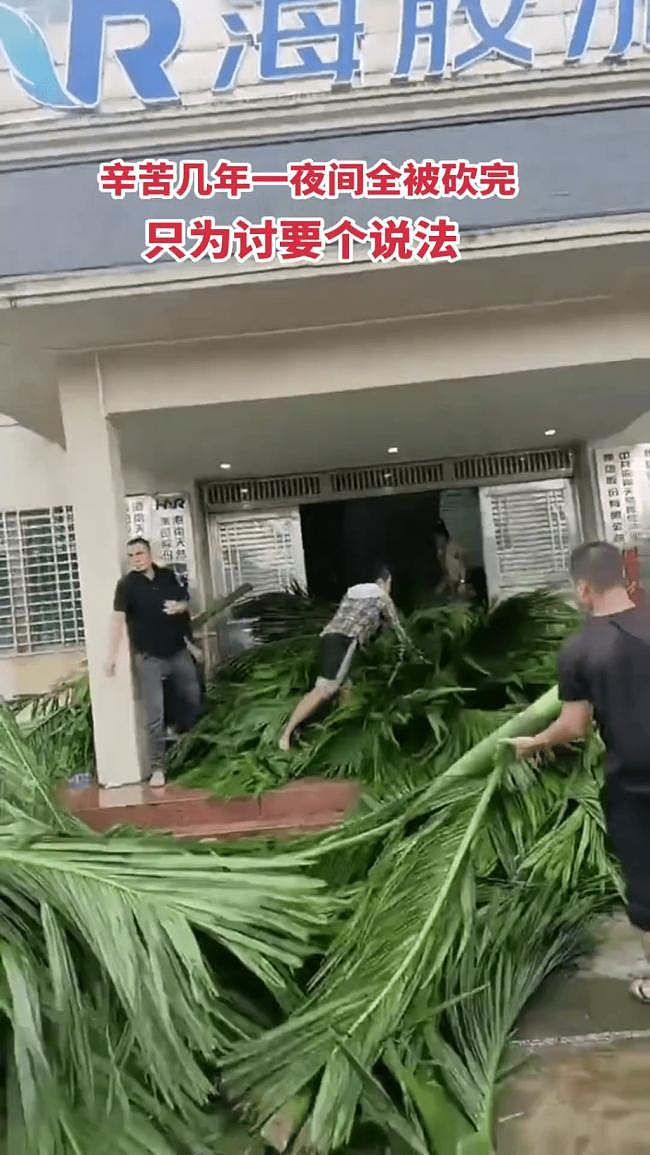 海南农民爆发大规模示威！网传警方一度鸣枪驱散（视频/组图） - 1