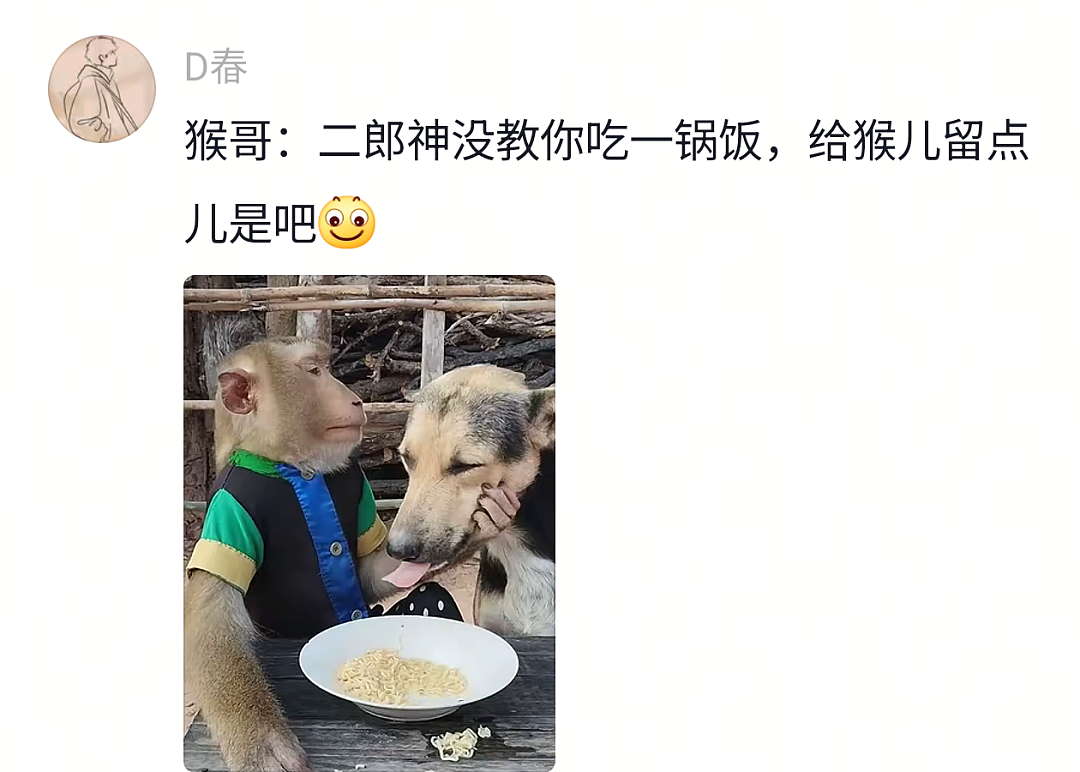 【宠物】网友头被路障卡住了拿不下来,狗子以为她和自己玩游戏…狗子开心到跳脚:到我了(组图) - 24