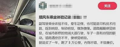 有多少打工人,被新能源甩晕在通勤路上?(组图) - 11