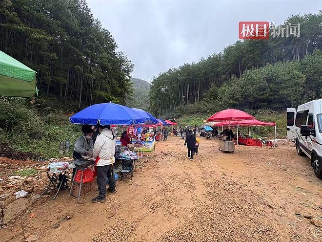 “史上最寒酸”的凯里动物园收到大量捐款，70岁园长喊话爱心网友：别捐了，我们现在有能力把动物养好（组图） - 2