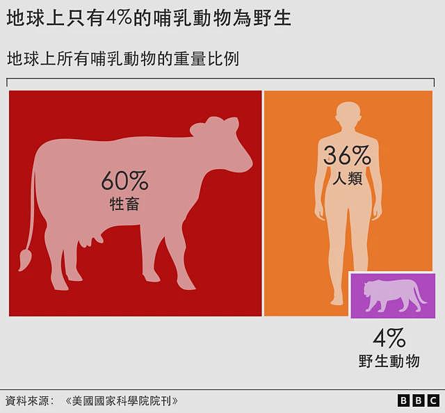 未来的智慧物种会知道人类曾经存在过吗（组图） - 3