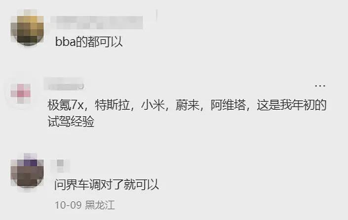 有多少打工人,被新能源甩晕在通勤路上?(组图) - 21