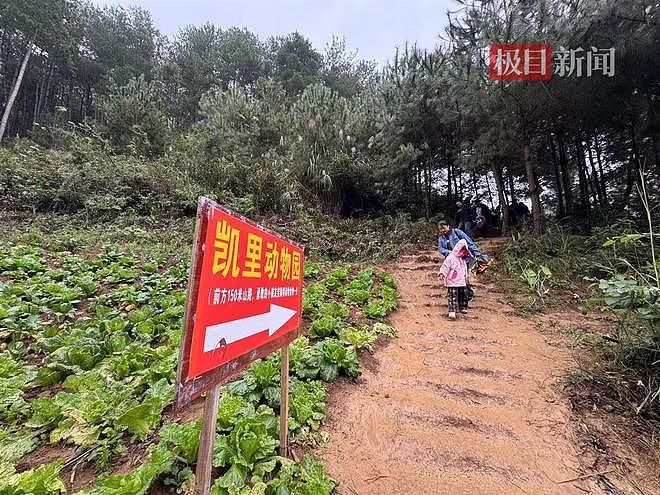 “史上最寒酸”的凯里动物园收到大量捐款，70岁园长喊话爱心网友：别捐了，我们现在有能力把动物养好（组图） - 1