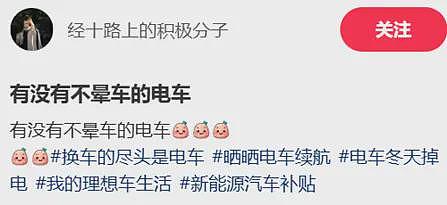 有多少打工人,被新能源甩晕在通勤路上?(组图) - 20