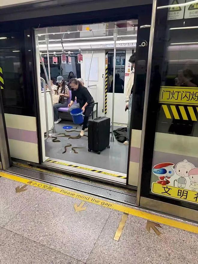 活的大闸蟹不能“坐”上海地铁?一天十几人被拦下,“建议另寻出行方式”(组图) - 2