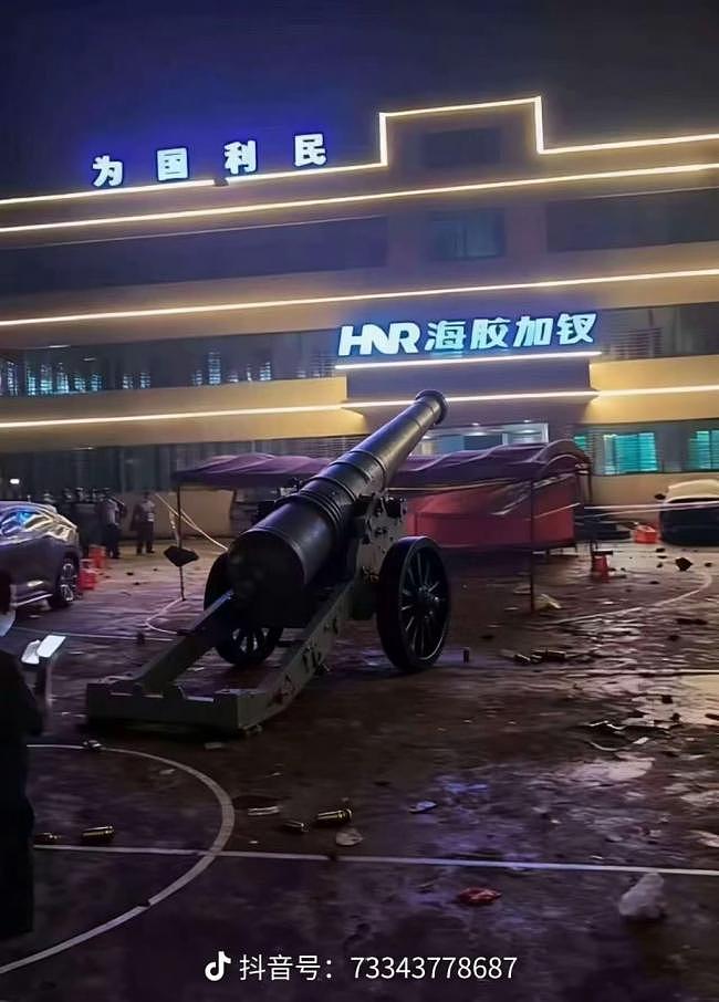 海南农民爆发大规模示威！网传警方一度鸣枪驱散（视频/组图） - 5