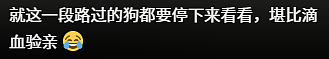 国产剧“丈母娘四巨头”，最近被捧成全网气血最足的女人（组图） - 3