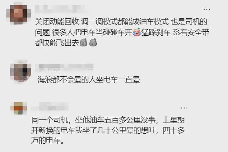 有多少打工人,被新能源甩晕在通勤路上?(组图) - 19