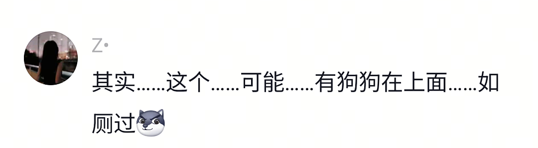 【宠物】网友头被路障卡住了拿不下来,狗子以为她和自己玩游戏…狗子开心到跳脚:到我了(组图) - 5