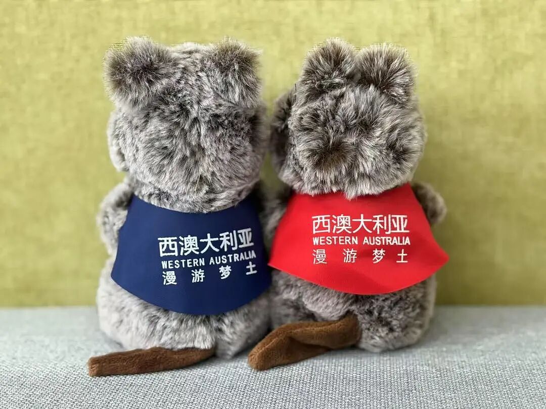 旅行基础,国家公园就不基础(组图) - 1