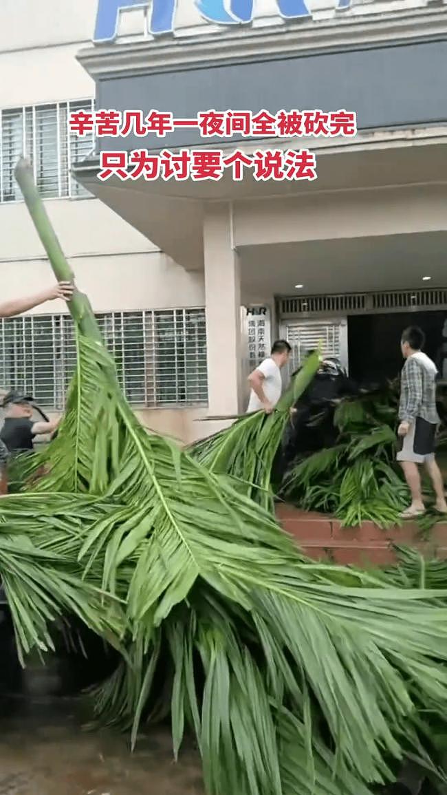 海南农民爆发大规模示威！网传警方一度鸣枪驱散（视频/组图） - 3