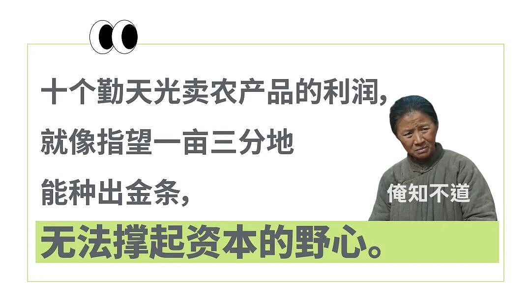 吃剩的面粉袋子卖300粉丝都得抢？“种地男团”把农产品当应援周边卖，让真农人看傻了（组图） - 15