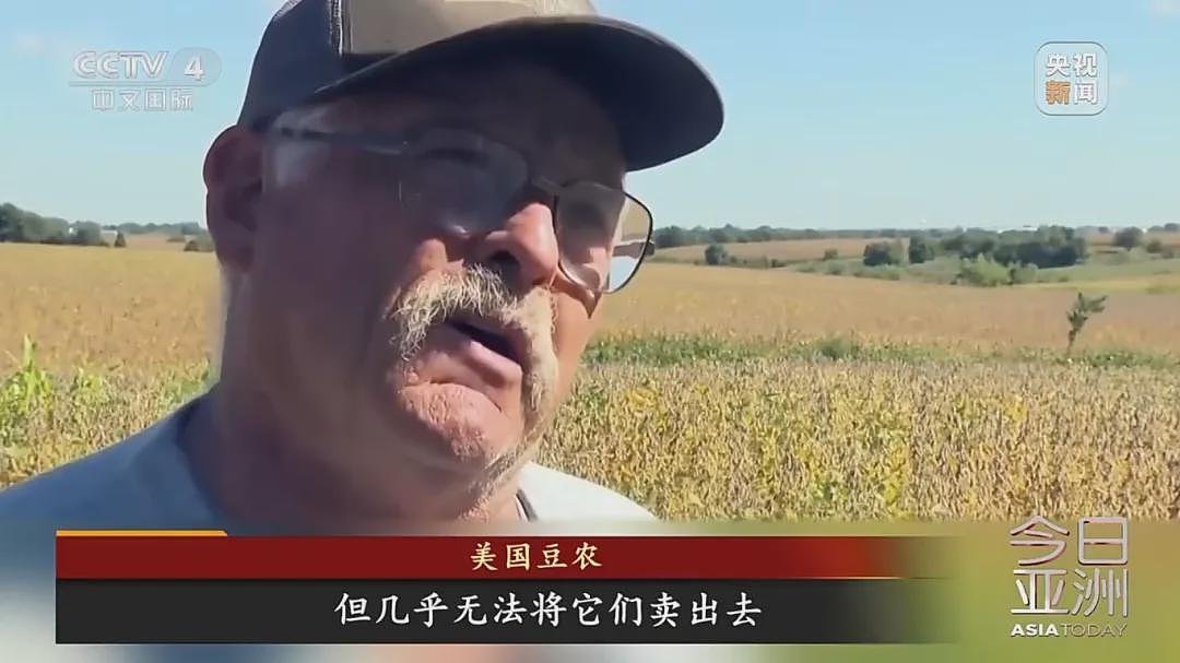 中国传来好消息，美国豆农：松了一口气！美豆积压严重，上月一座混凝土仓库被挤崩塌，里面存了816吨大豆（组图） - 6