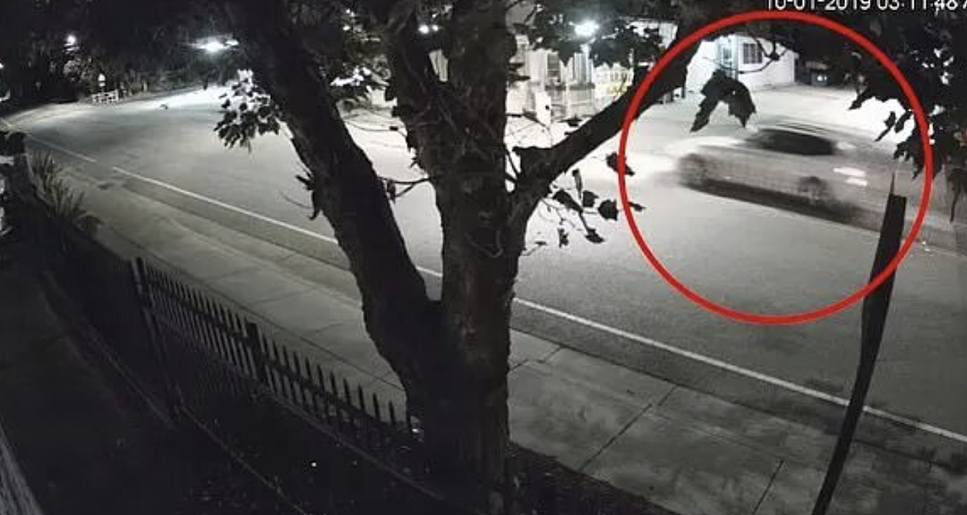 现世报！ 硅谷富豪虐待羞辱员工惨遭反杀，爆头枪决，抛尸荒郊（组图） - 9