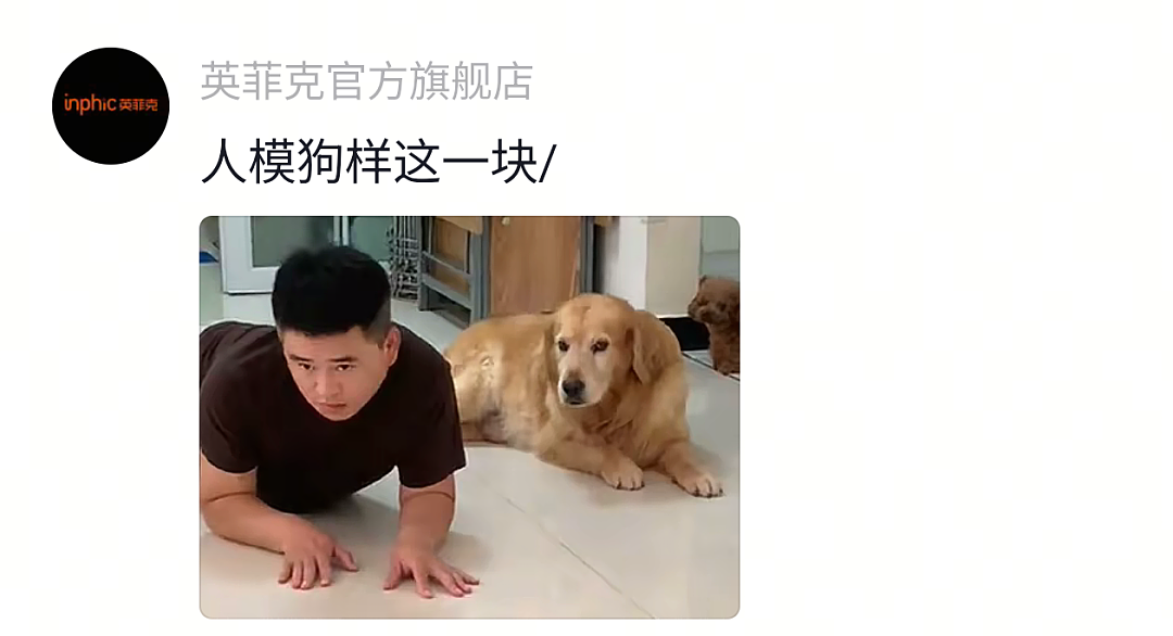 【宠物】网友头被路障卡住了拿不下来,狗子以为她和自己玩游戏…狗子开心到跳脚:到我了(组图) - 15