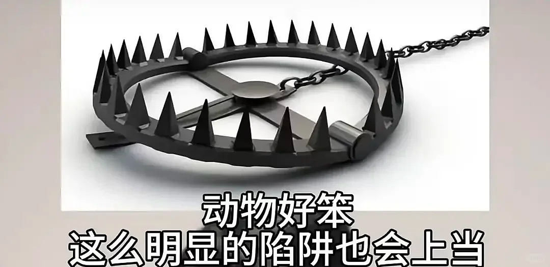【爆笑】“学生家长的职业可以有多高大上？”哈哈哈哈哈哈哈我大为震惊（组图） - 12