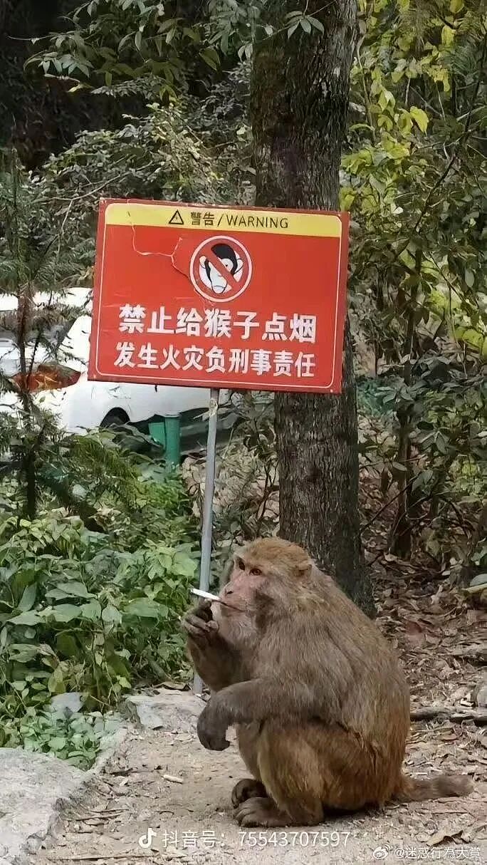 【爆笑】“妹妹靠着拼夕夕商家打款挣了一千多…?”啊啊啊这才是真正的血汗钱(组图) - 52
