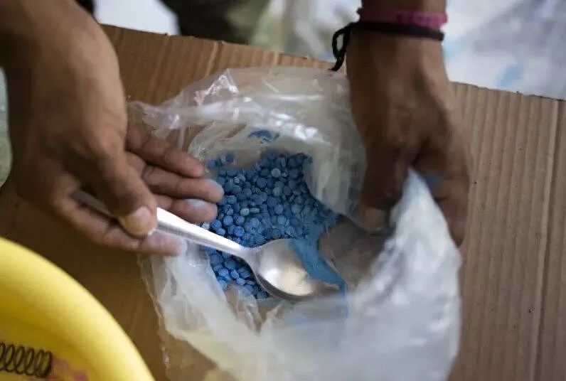 北大学霸贩毒制毒被抓！能力太强，被国际贩毒集团奉为领袖！ 美国警方：近年来智商最高的毒枭（组图） - 6