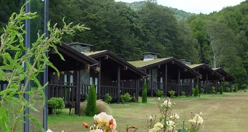 华人女子新西兰买庄园，建立封闭社区！成员闹事只为被遣返，二十年来首次披露（组图） - 16